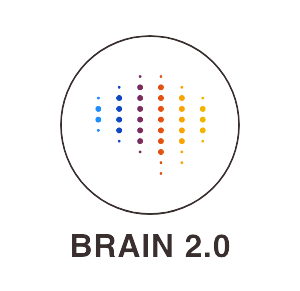 rrest-brain2